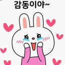 빈쓰