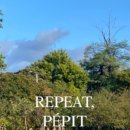 카페슬로우 이미지