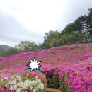 정커피솝 이미지