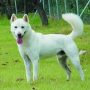 되고개농장 이미지