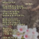 벚꽃 한 잎의 무게 이미지