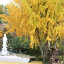 고촌로28번길 이미지