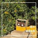 송정농원 | 제주 송정농원 체험 후기, 아이와 함께 가볼 만한 가족 여행지