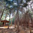 구암동541 이미지