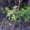 송룡2리마을회관 이미지