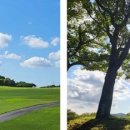 캐슬렉스제주(회원제18홀) 이미지