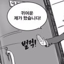 리바디체형교정