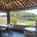 디앤유커피 이미지