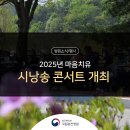 마음치유시낭송 | 2025년 마음치유 시낭송 힐링 콘서트 진행