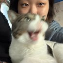 영광주유소 | My October - 아파서 초반 2주 삭제된 10월 일기