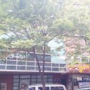 승진당구장 이미지