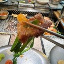 [서울 을지로]인생 고기집 등극 흑돼지 맛집 줄서는 식당 &#39;산청숯불가든 을지로&#39;
