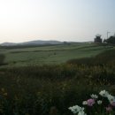 함평해수찜 이미지