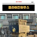 플라이진 이미지