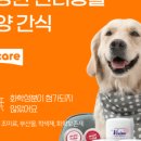 애니케어