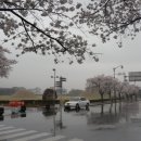 신라초등학교