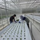 장점보건진료소 이미지