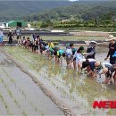 율천초등학교 이미지