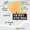 캠핑숲 이미지