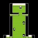 Leader Gym 이미지