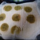 내몸에쑥뜸방 이미지