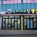 대포항생선찜본점 | 속초 생선구이 맛집 풍요로웠던 대포항생선찜본점