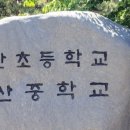 보령-미산-1 이미지