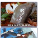 오징어와친구들 이미지