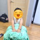 거북이 쿠션 거북이등딱지쿠션 입는쿠션(내돈 내산후기)
