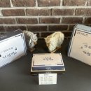 한옥마을 기정떡 이미지