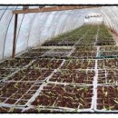 참들농장 이미지