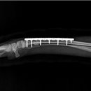 철원동물병원 이미지