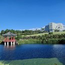 인천궁합-인천궁합풀이잘하는곳, 말띠와 쥐띠는 안좋은가요? 이미지