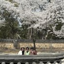 흥국로 이미지
