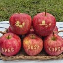 정상푸드 이미지