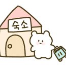 더베스트풀빌라 이미지