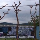 주야1리마을회관 이미지