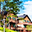 용평포레스트