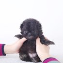 키즈멍 안양본점 이미지