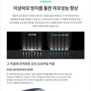 고양화전20 이미지