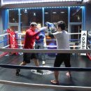 고릴라복싱GYM 이미지