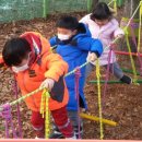 석송초교병설유치원 이미지