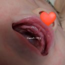 기록, 침대 배송, 침대 가드, 크리스마스 선물, 순창 방문, 김장, 노리 노리(2), 안전 꾸러미 수령...