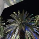 길손칼국수 | 제주 손칼국수 맛집 현지인도 좋아하는 공항 근처 사라길손칼국수