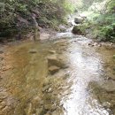 횡성부동산 계곡땅 횡성토지매매 [강원도 횡성군 공근면부동산] #횡성군토지 이미지