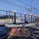 용비치 관광호스텔 이미지