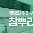 참뿌리한의원 이미지