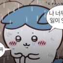 오토네일