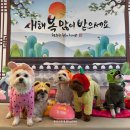 멍세권 이미지