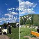 채은목장 네이버블로그